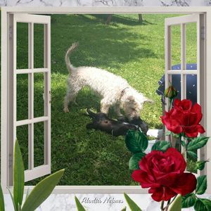 Meet your Posher, Karen